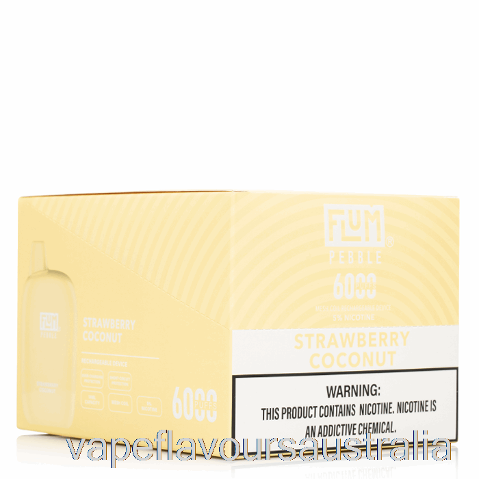 Vape Australia [10-Pack] Flum Pebble 6000 Disposable